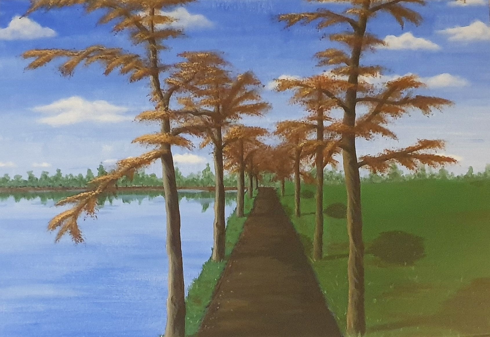 A Tree Lined Path